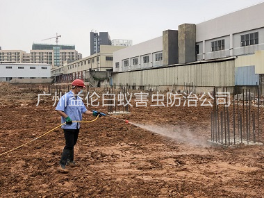 芳村基础白蚁预防工程